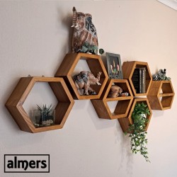 Stained Hexagon Set (6)